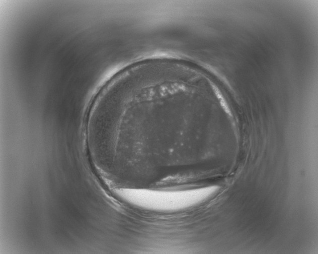 X0000065981367200603241928