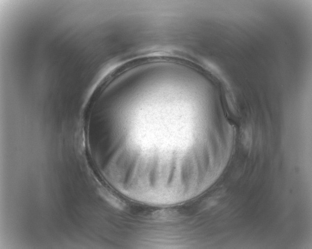 X0000065981368200603241928