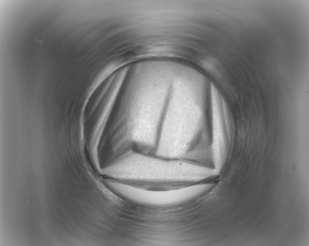 X0000065981370200603241928