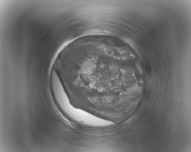 X0000065981371200603241928