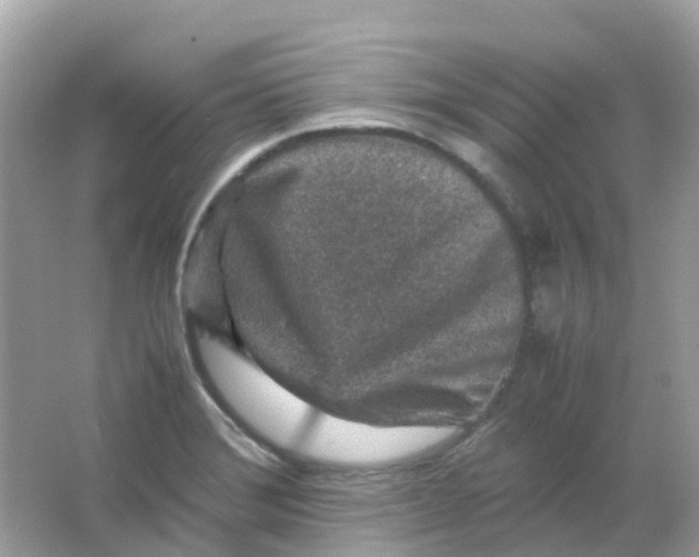 X0000065981372200603241928