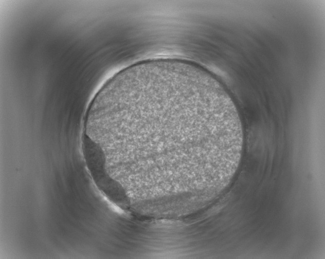 X0000065981374200603241928