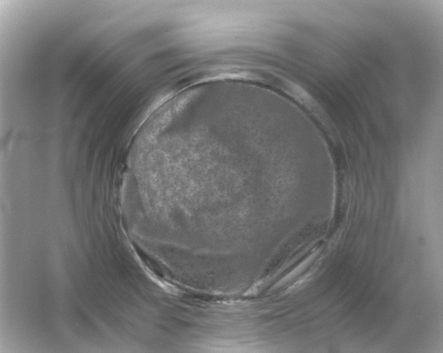 X0000065981377200603241928