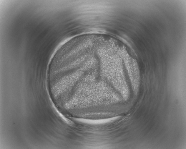 X0000065981379200603241928