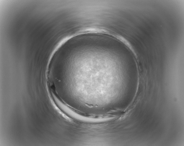 X0000065981381200603241928