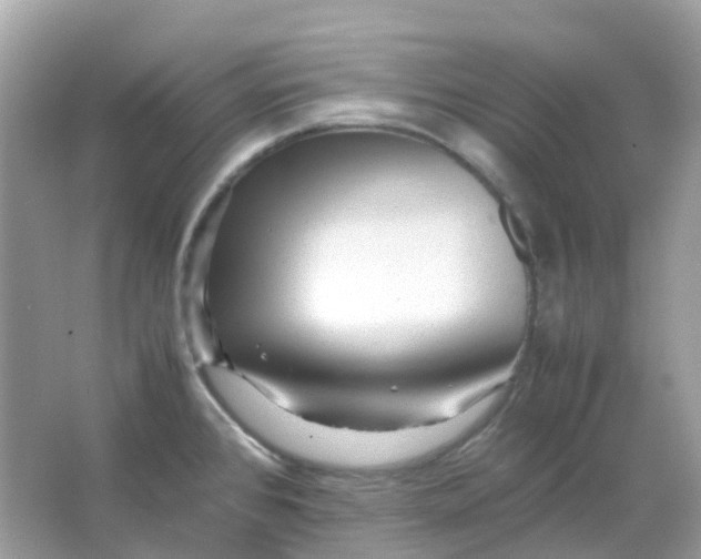 X0000065981384200603241928