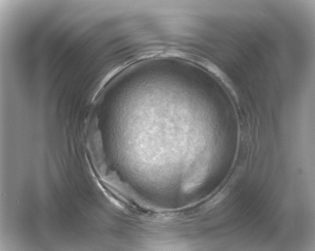 X0000065981385200603241928