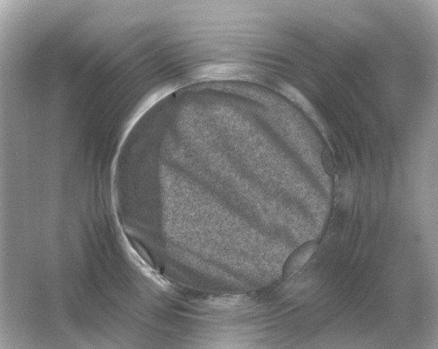 X0000065981386200603241928