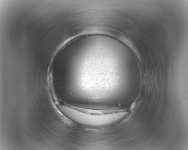 X0000065981388200603241928