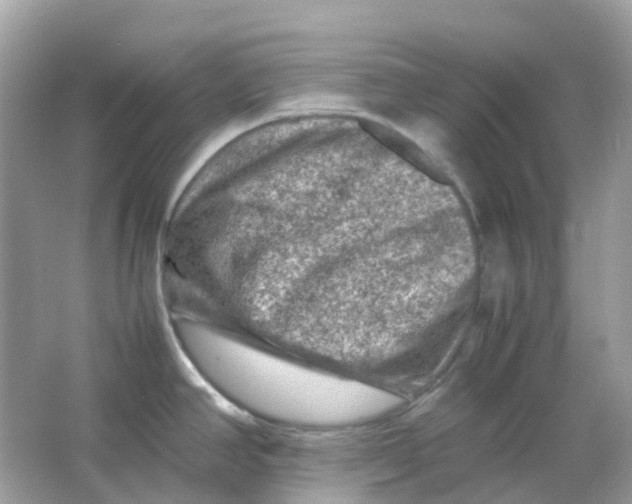 X0000065981390200603241928