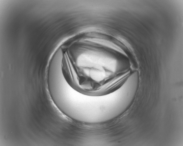 X0000065981392200603241928