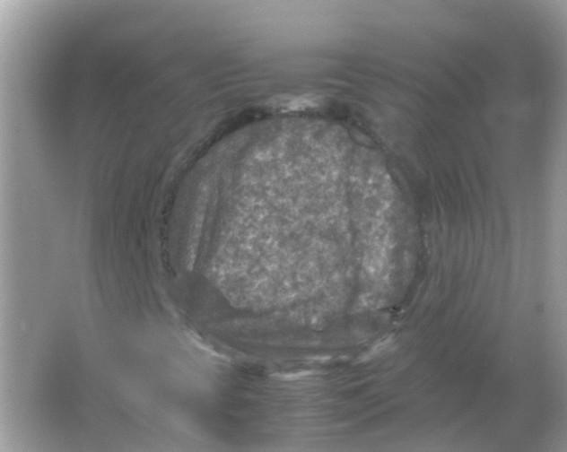 X0000065981393200603241927