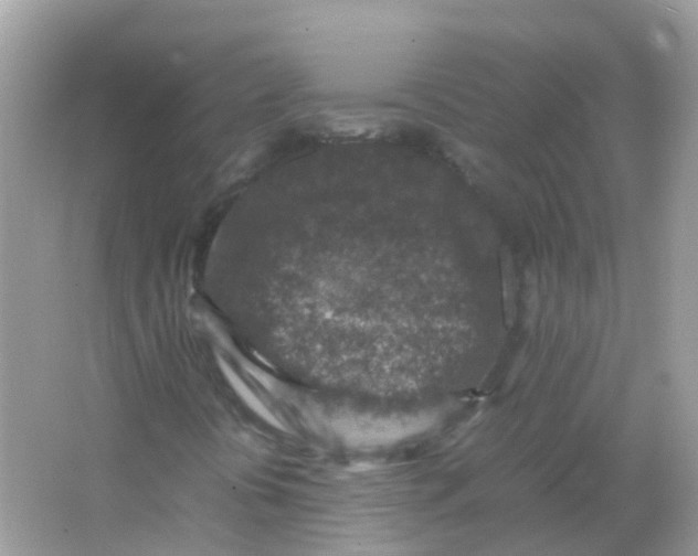 X0000065981394200603241927