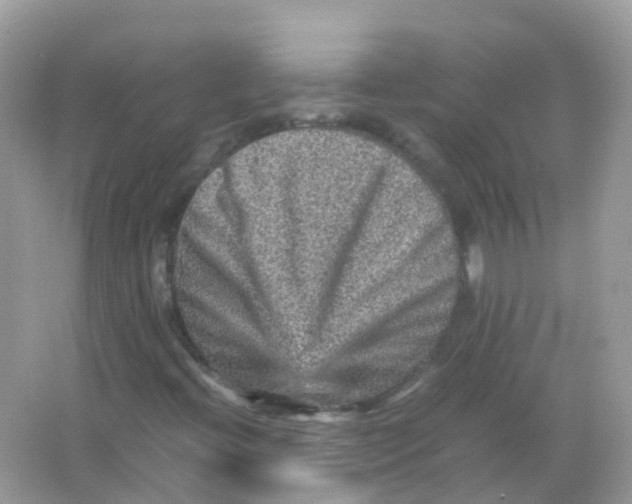 X0000065981396200603241927