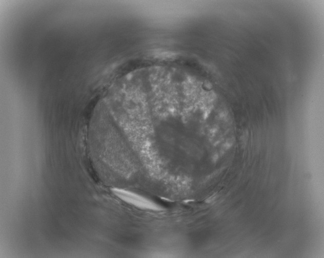 X0000065981397200603241927