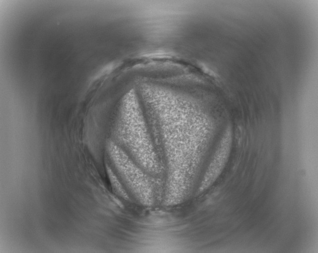 X0000065981398200603241927