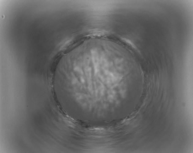 X0000065981399200603241927