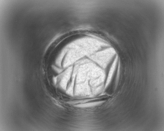 X0000065981400200603241927