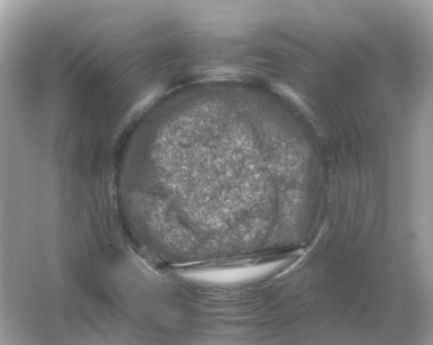 X0000065981403200603241927