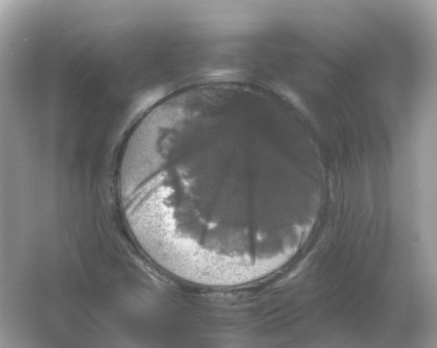 X0000065981405200603241927