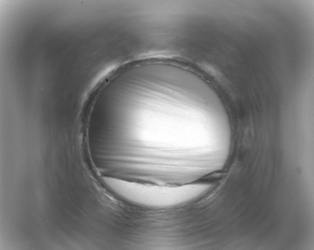 X0000065981406200603241927