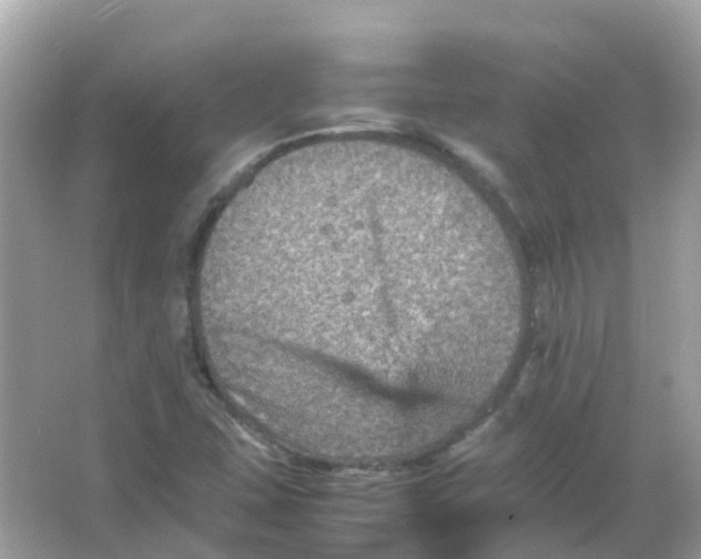 X0000065981407200603241927