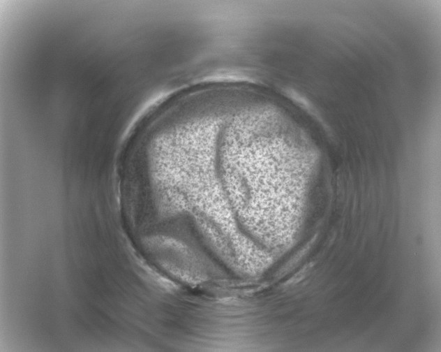 X0000065981408200603241927