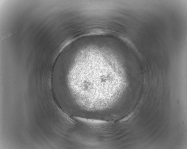 X0000065981409200603241927