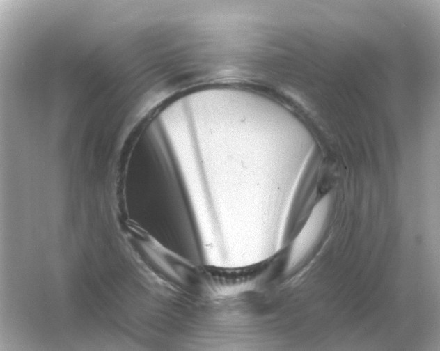 X0000065981410200603241927