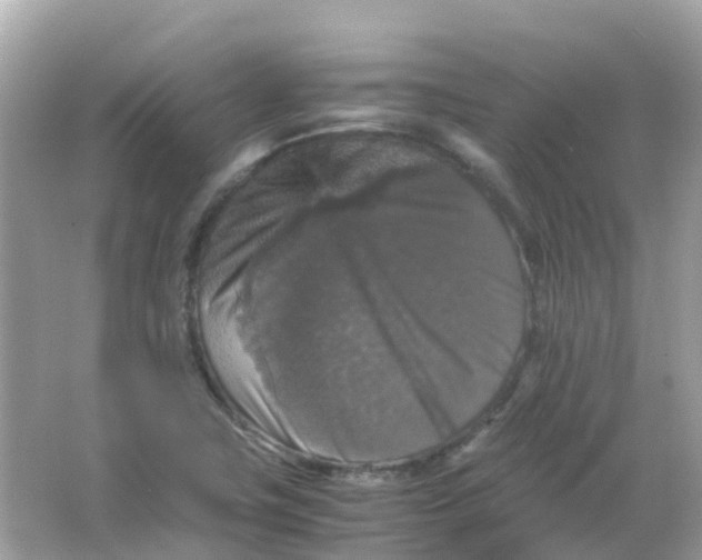 X0000065981411200603241927