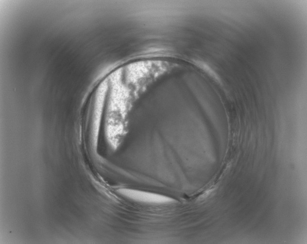 X0000065981413200603241927