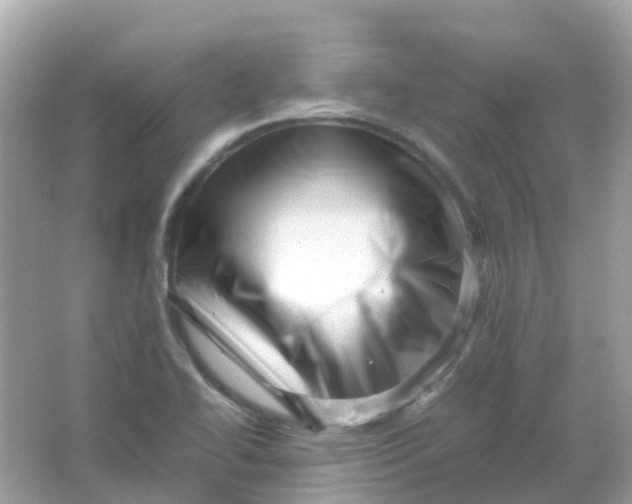 X0000065981414200603241927