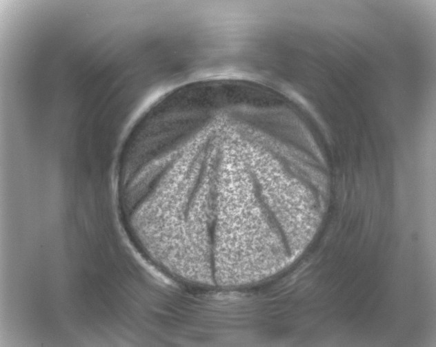 X0000065981416200603241927