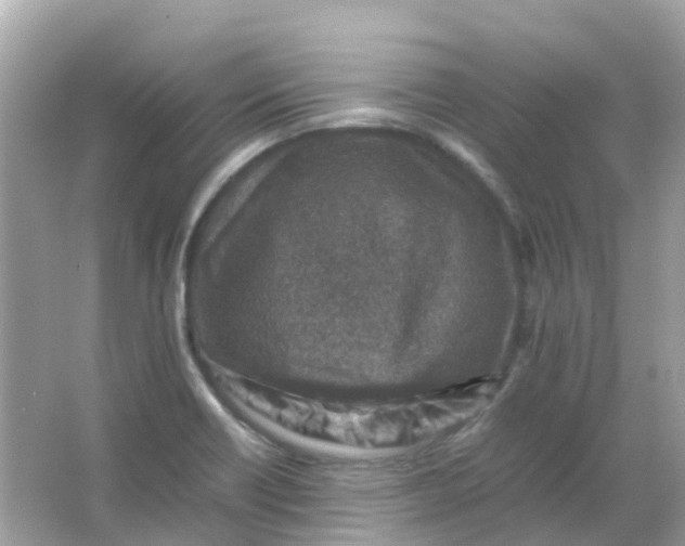 X0000065981418200603241927