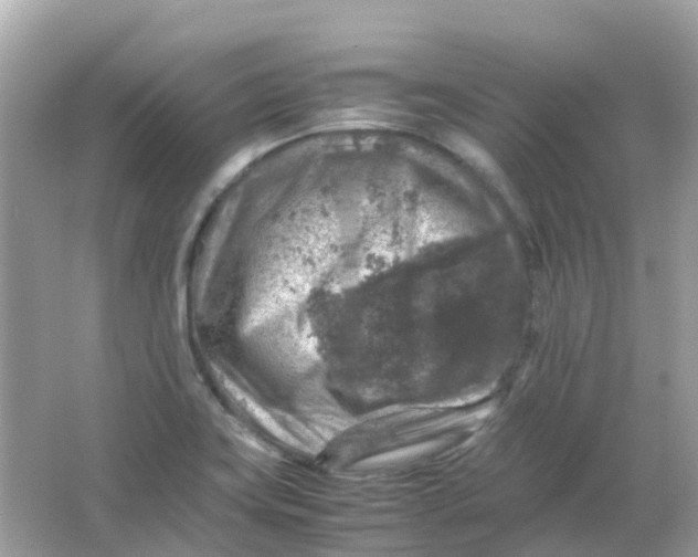 X0000065981419200603241927