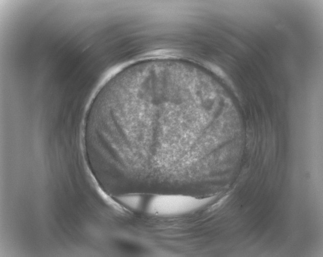 X0000065981421200603241927