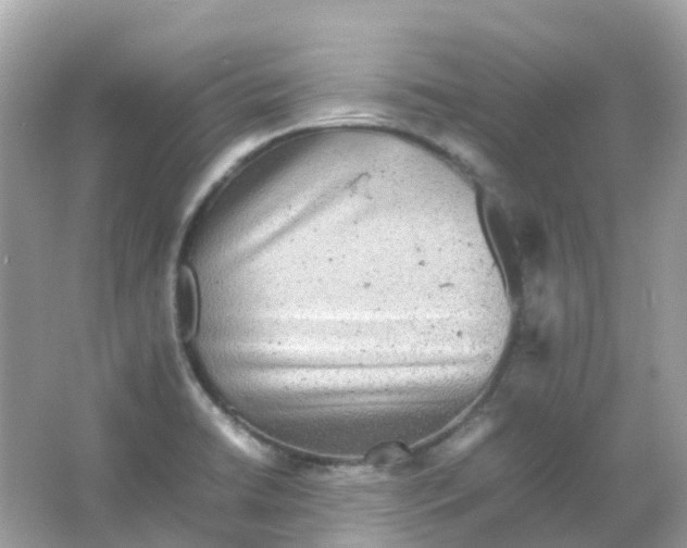 X0000065981422200603241928