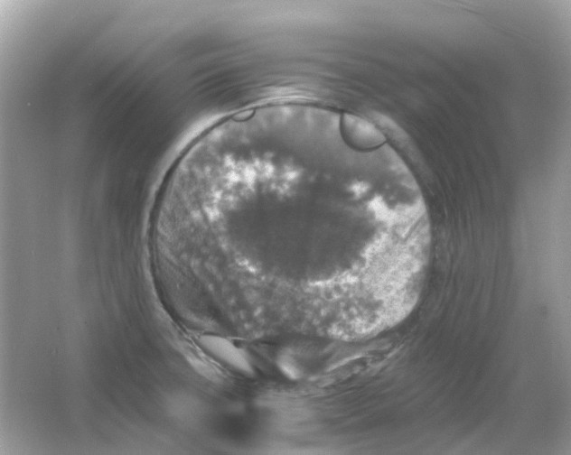 X0000065981427200603241928