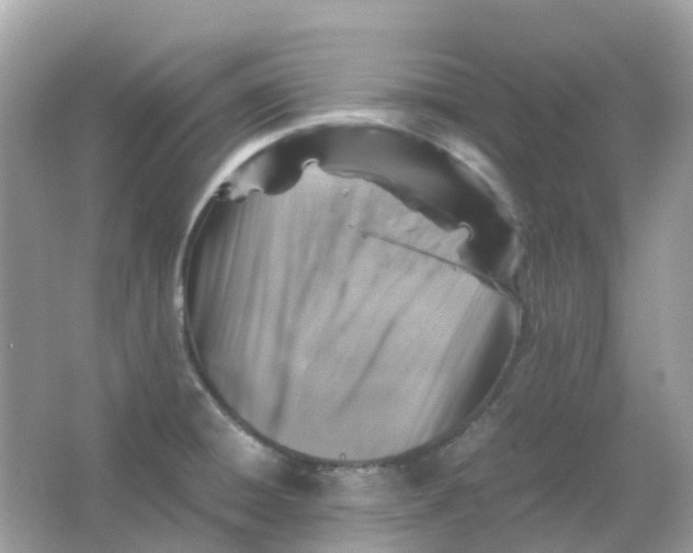 X0000065981428200603241928