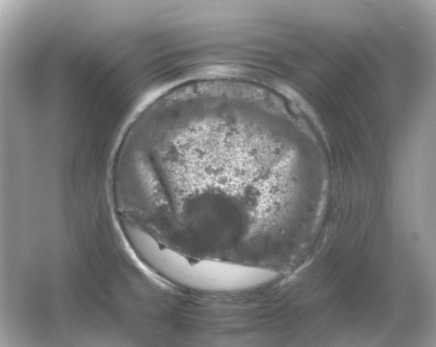 X0000065981429200603241928