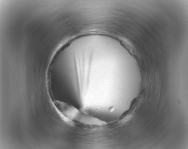 X0000065981430200603241928