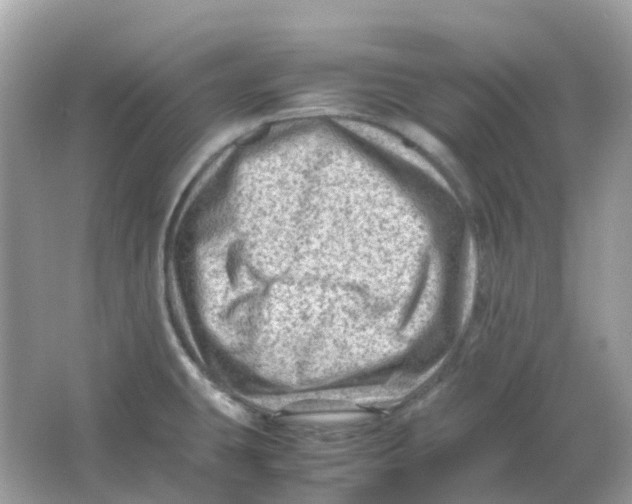 X0000065981431200603241928