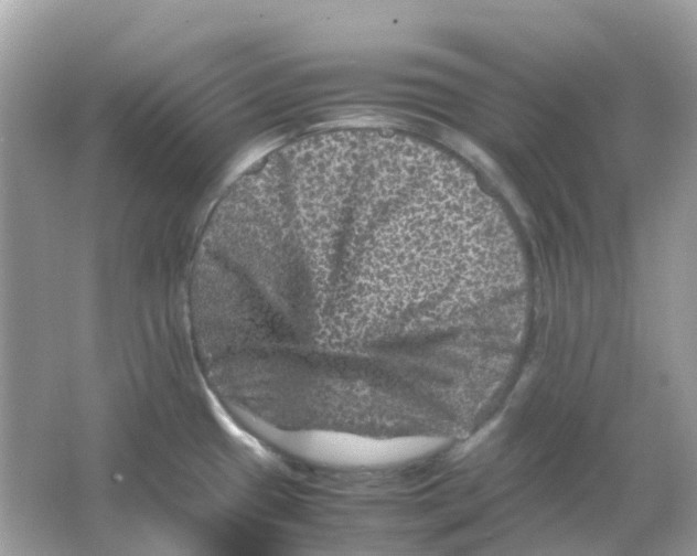 X0000065981433200603241928