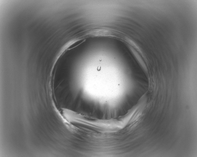 X0000065981434200603241928