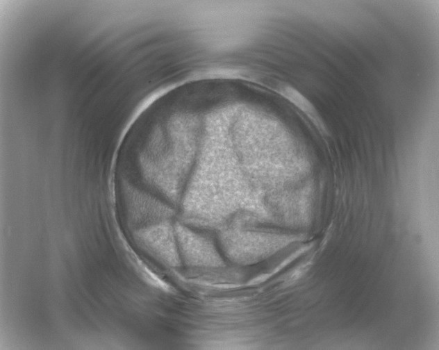 X0000065981436200603241928