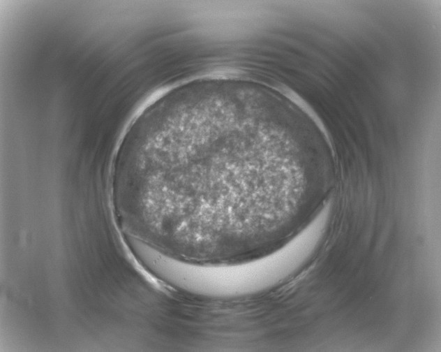 X0000065981437200603241928