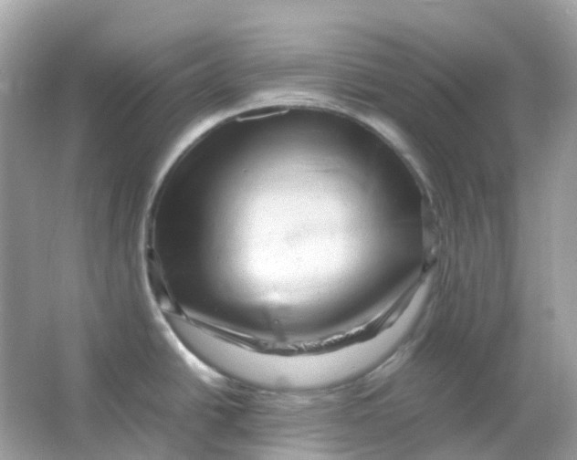 X0000065981438200603241928