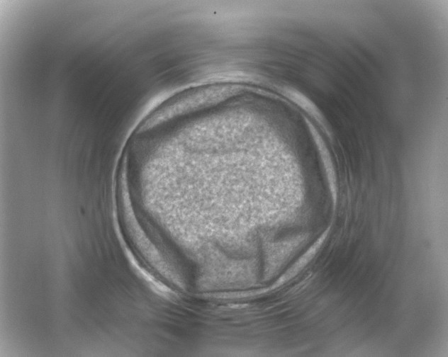 X0000065981439200603241928