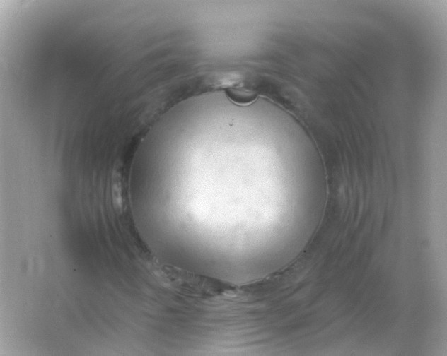 X0000065981442200603241927