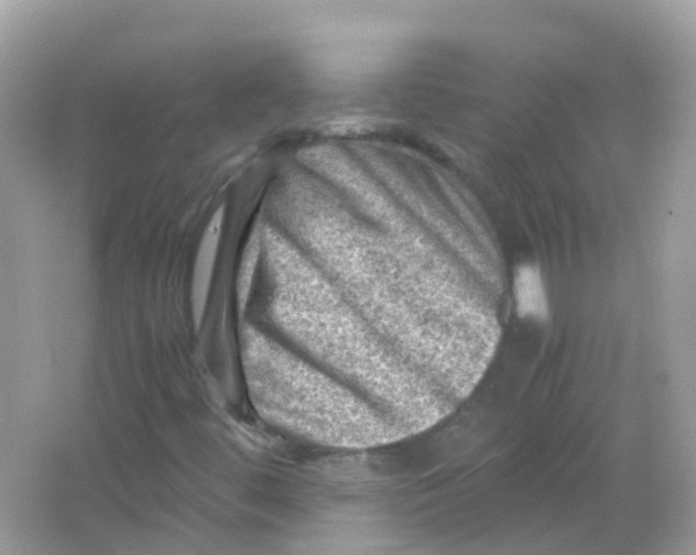 X0000065981444200603241927